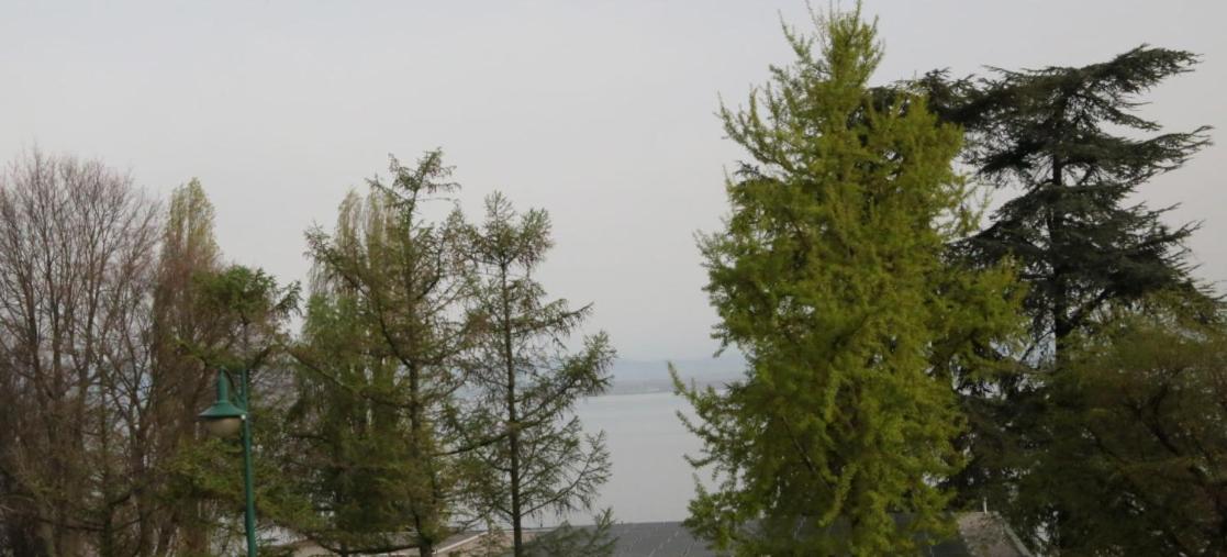 Magnifique T3 Face Au Lac Évian-les-Bains Exteriér fotografie